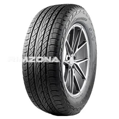 Шина ANTARES MAJORIS R1 285/35 R22 106W