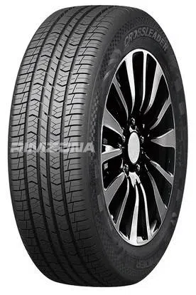 Шина DOUBLE STAR DSS02 255/70 R18 113T